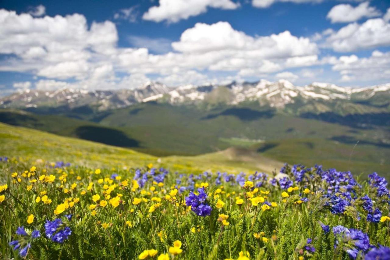 Longbranch Villa Breckenridge Bagian luar foto